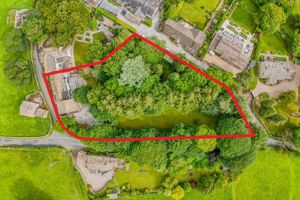 Photo 2- click for photo gallery